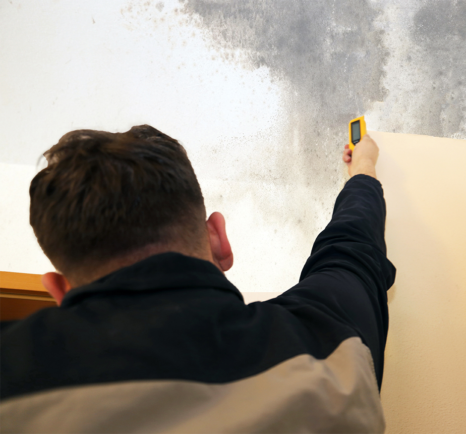 Mold Remediation, Removal & Testing: Howell, MI | AMC Environmental - AdobeStock_254730858